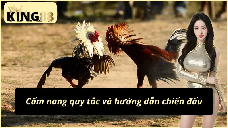Cách bắt kèo đá gà cựa dao theo tốc độ ra đòn