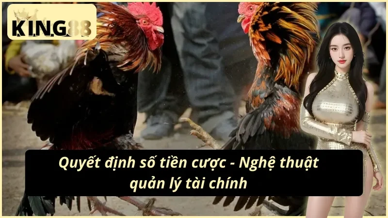 Xem đá gà cựa dao trực tiếp tại sảnh King88