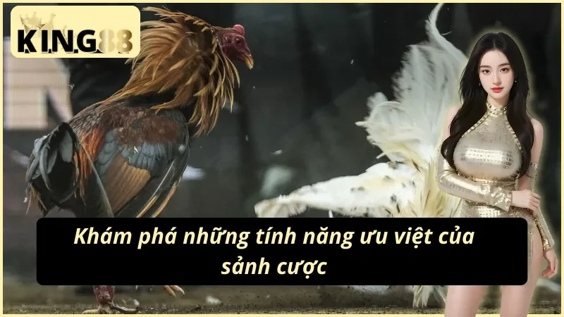 Cận cảnh cựa sắt dạng kim gắn chân chiến kê
