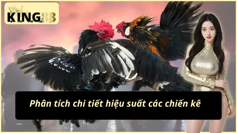 Tiêu chí phân tích chọn kèo đá gà cựa sắt