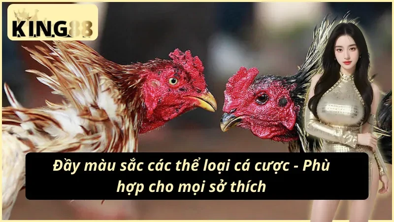 Kinh nghiệm cược đá gà cựa sắt hiệu quả