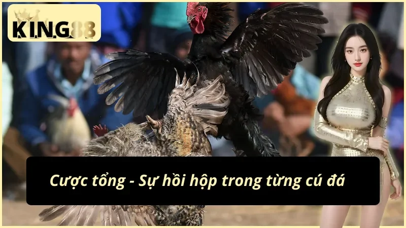 Xem trực tiếp đá gà cựa sắt tại sảnh King88