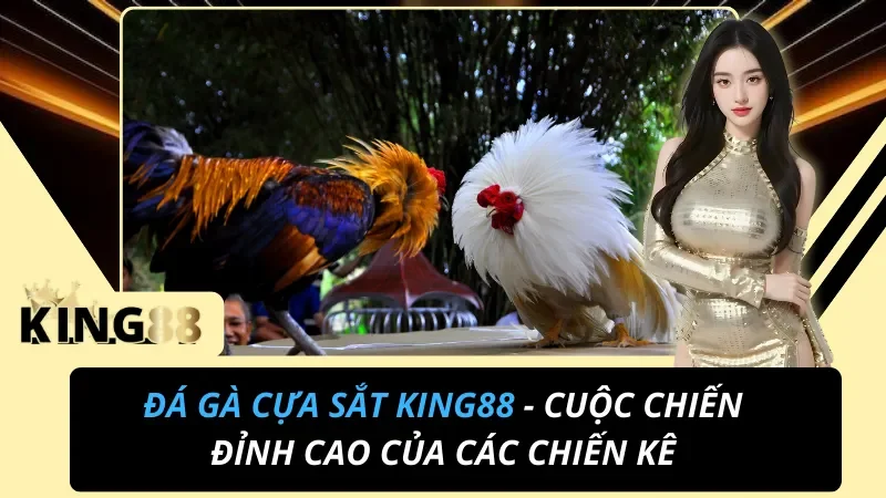 Đá Gà Cựa Sắt King88 – Đấu Trí Bằng Phân Tích Kèo