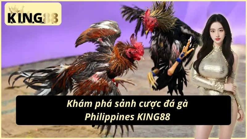 Đá Gà Philippines King88 – Sabong Đấu Trường Quốc Tế Hot Hit 2026 2 Đá gà Philippines sabong trực tiếp tại King88