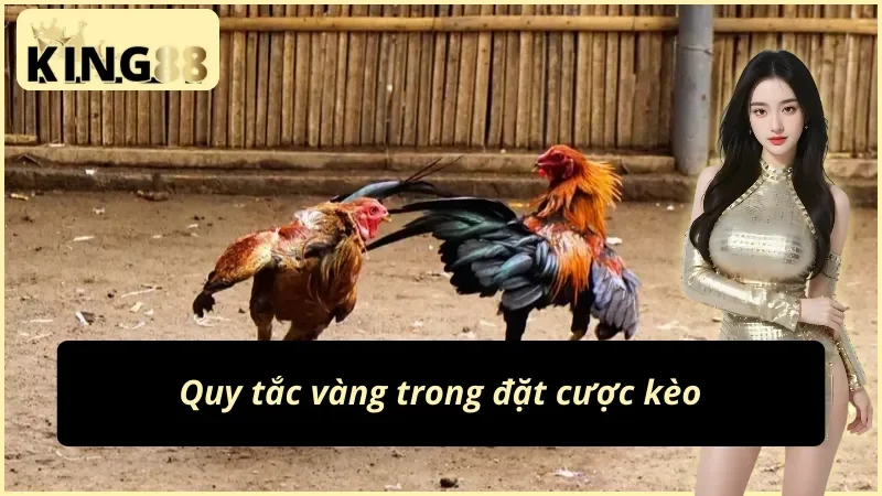 Đá Gà Philippines King88 – Sabong Đấu Trường Quốc Tế Hot Hit 2026 5 So sánh đá gà Philippines và đá gà Thomo Campuchia