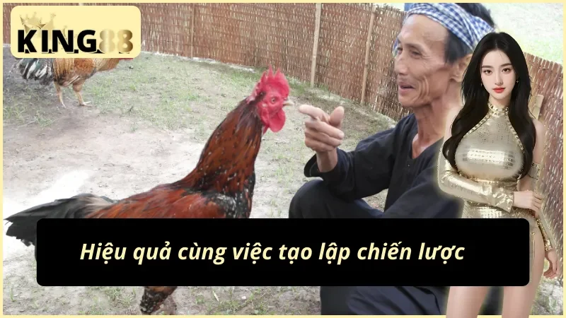 Đá Gà Philippines King88 – Sabong Đấu Trường Quốc Tế Hot Hit 2026 7 Kinh nghiệm cược đá gà Philippines cho người mới