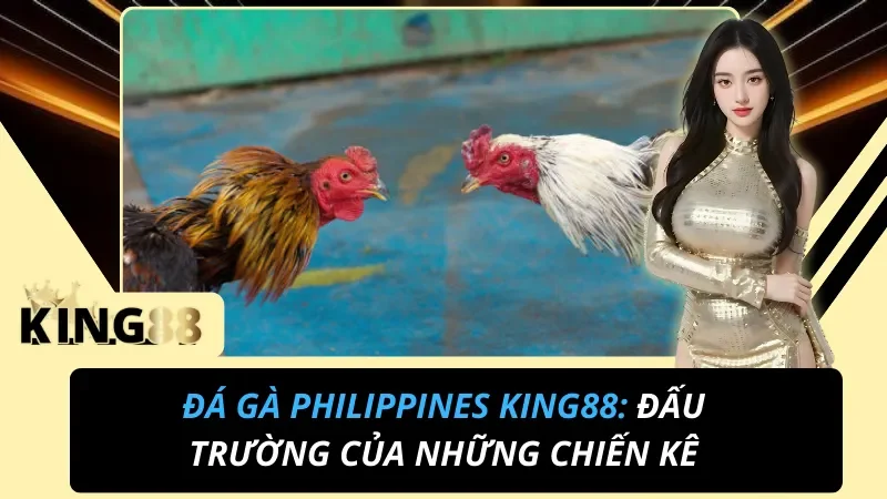 Đá Gà Philippines King88 – Sabong Đấu Trường Quốc Tế Hot Hit 2026 1 Đá Gà Philippines King88 – Sabong Đấu Trường Quốc Tế Hot Hit 2026