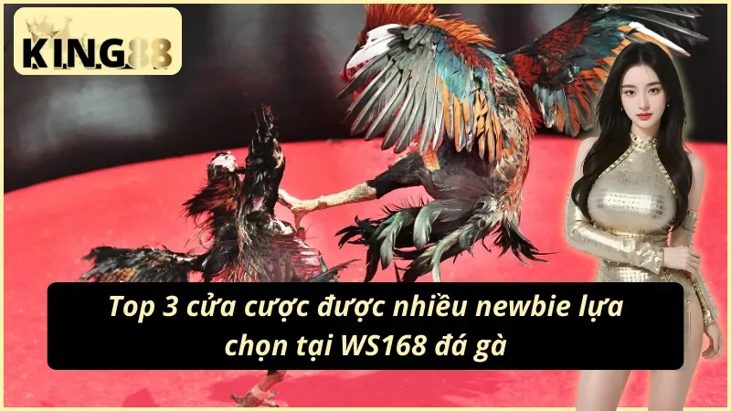 WS168 Đá Gà – Sảnh Đá Gà Trực Tiếp Chuẩn HD Tại King88 6 Trải nghiệm xem và cược đá gà qua WS168