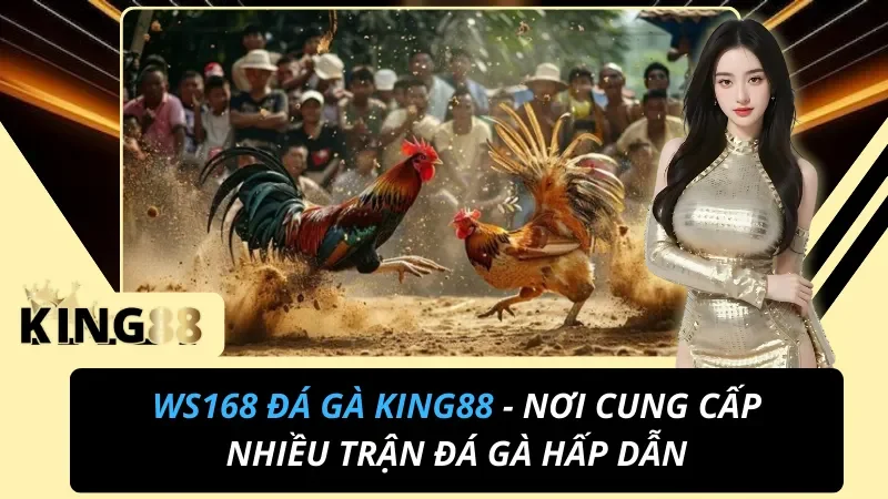 WS168 Đá Gà – Sảnh Đá Gà Trực Tiếp Chuẩn HD Tại King88 1 WS168 Đá Gà – Sảnh Đá Gà Trực Tiếp Chuẩn HD Tại King88