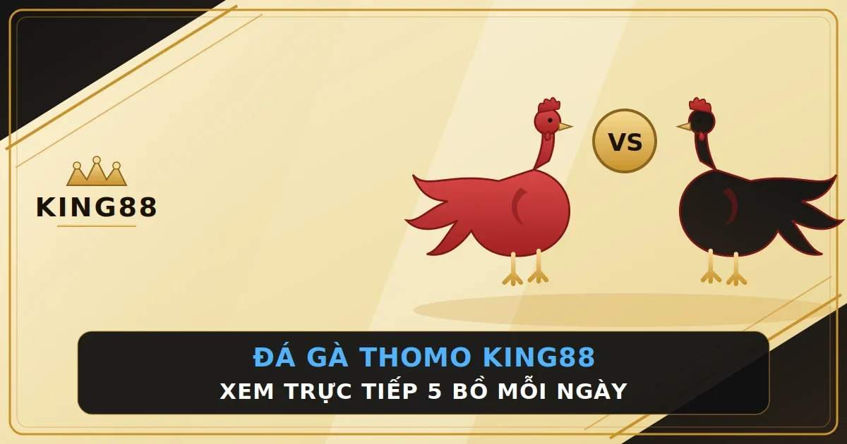 Đá Gà Thomo King88 – Nơi AE Có Thể Xem Trực Tiếp 5 Bồ Mỗi Ngày
